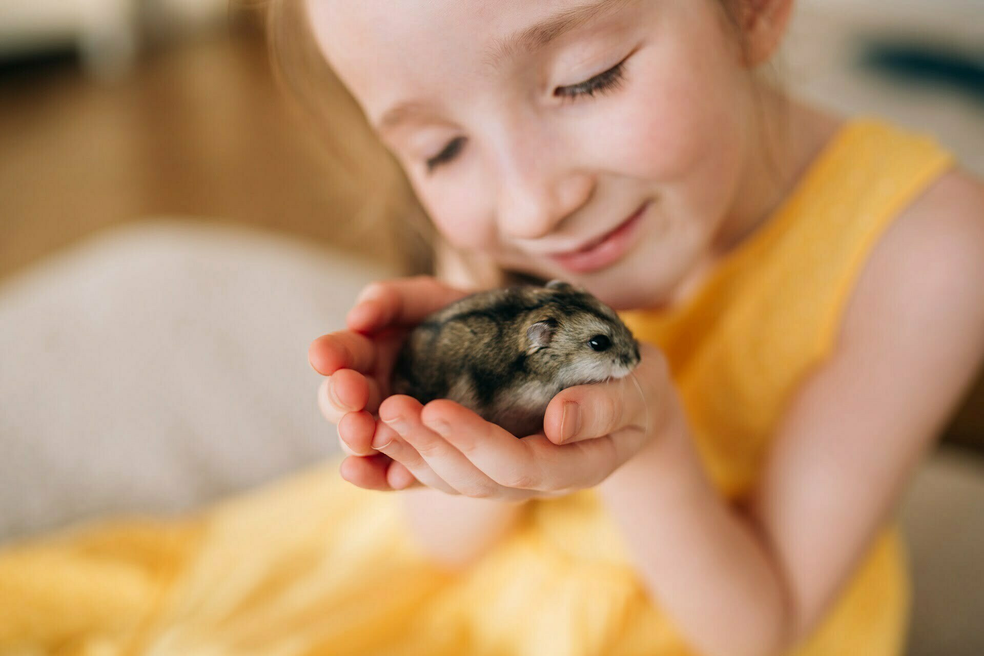 home image gallery (8)